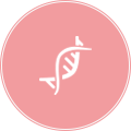 同性与HIV备孕