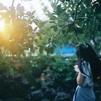 墨羽尘曦