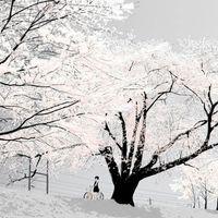 泰国试管婴儿攻略