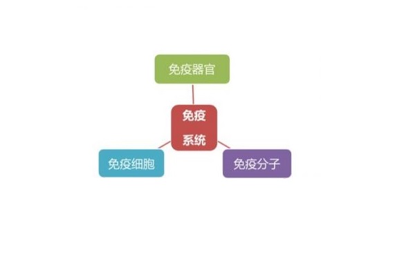 1510710384269645.jpg