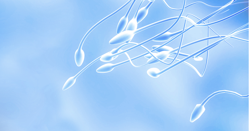 Semen-Analysis1.png