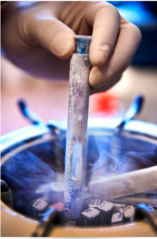 Sperm-freezing1.png