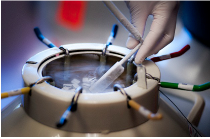 Sperm-freezing5.png