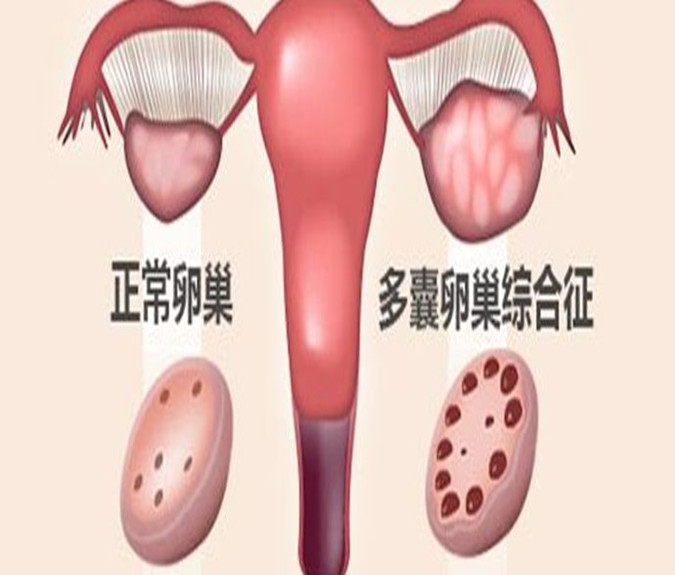 217_副本D.jpg