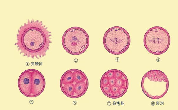347_副本S.png