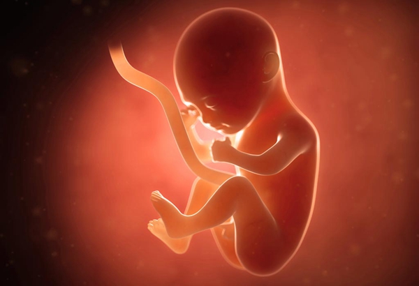 泰国试管婴儿：生化妊娠、宫外孕、先兆流产到怀孕成功案例分享