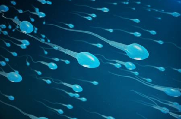 泰国试管婴儿：精子活力过低 就完全不能受孕了吗