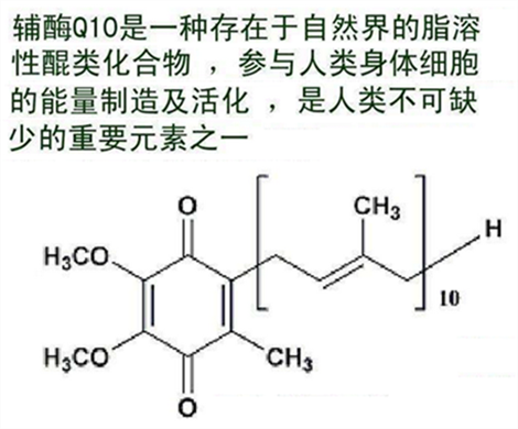 辅酶q10对泰国试管婴儿有什么作用？