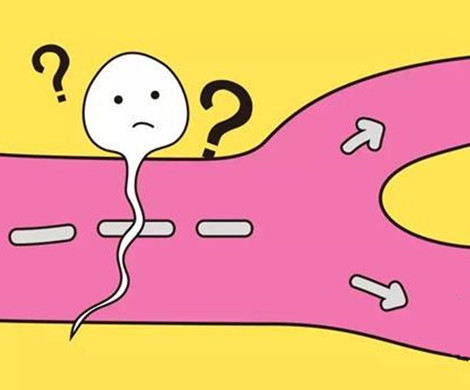 试管婴儿能从尿液中提取精子？