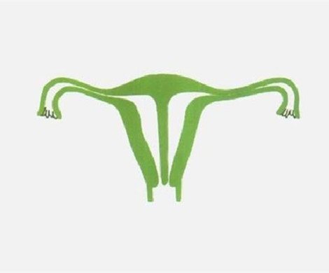 子宫纵隔会影响泰国试管婴儿成功率？