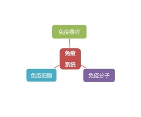 对于试管婴儿来说母体免疫力有多重要？