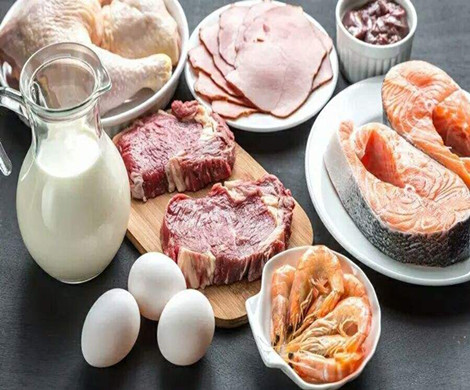 蛋白粉可以补充试管所需的蛋白质吗？
