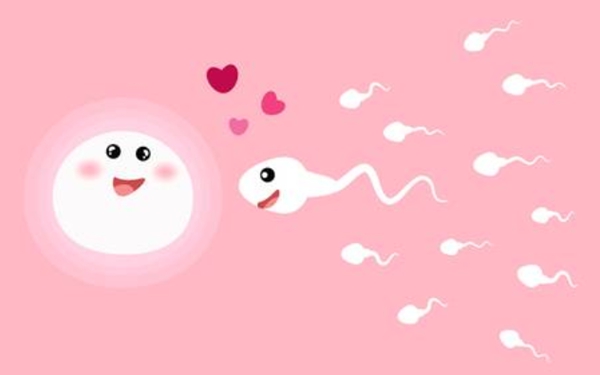 男性精子存活率低可以做泰国试管婴儿吗
