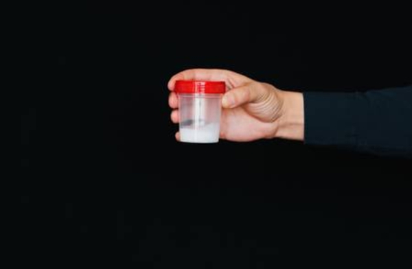 老公精子质量差能做试管婴儿吗